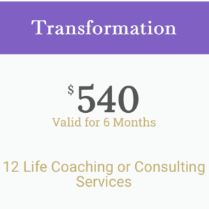 12 Life Coaching or Consulting Services